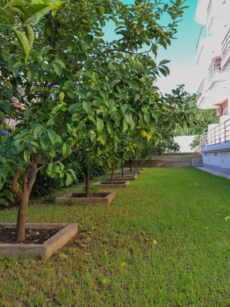 Himara Royal Hotel Ngoại thất bức ảnh